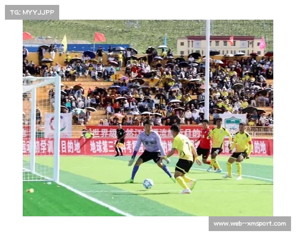 玉树牦牛青超客场三连战挑战海南龙羊或将决定冠军归属